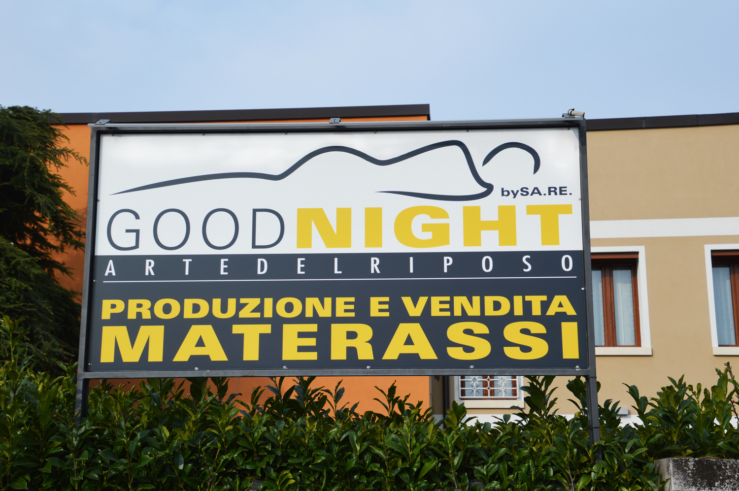 Immagine 2